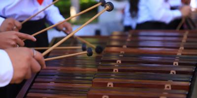 Mineduc crea el Magisterio de Educación Musical para formar  nuevos docentes en las Escuelas Normales con Especialidades 