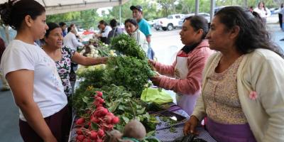Prepare el fiambre con productos frescos de la Feria del Agricultor
