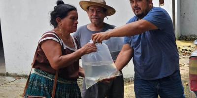 #MAGAcciones | Más de 20 mil alevines entregados para fortalecer la producción acuícola
