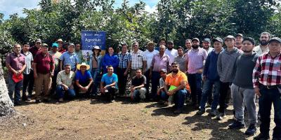 Promueven buenas prácticas agrícolas e innovación en fincas aguacateras de Guatemala