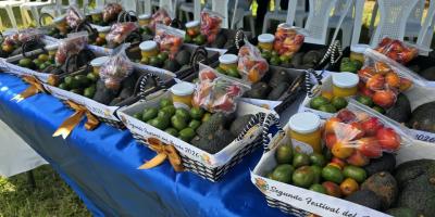 Promueven el comercio durante el II Festival del Jocote de Corona en Jutiapa