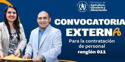 Convocatoria externa para renglón 011