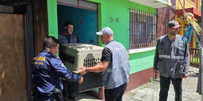 Entregan siete caninos por incumplir libertades del bienestar animal