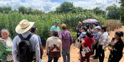 Productores de San José La Arada conocen técnicas para mejorar sus cultivos y la producción pecuaria