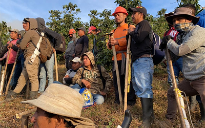 voluntarios