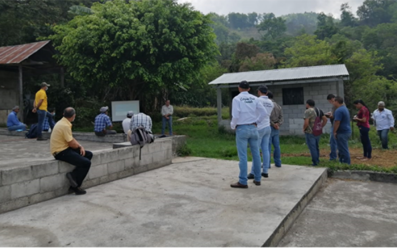 educación ambiental