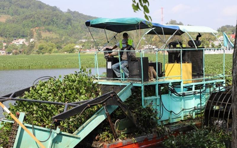 Personal del MARN desarrolla jornada de limpieza en la Laguna Chichoj