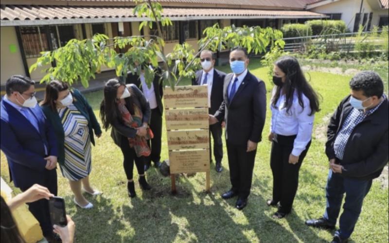 Las autoridades del Ministerio de Ambiente y Recursos Naturales (MARN) conmemoraron hoy el día de la Monja Blanca, la flor nacional de Guatemala, y de la Marimba, el instrumento nacional.