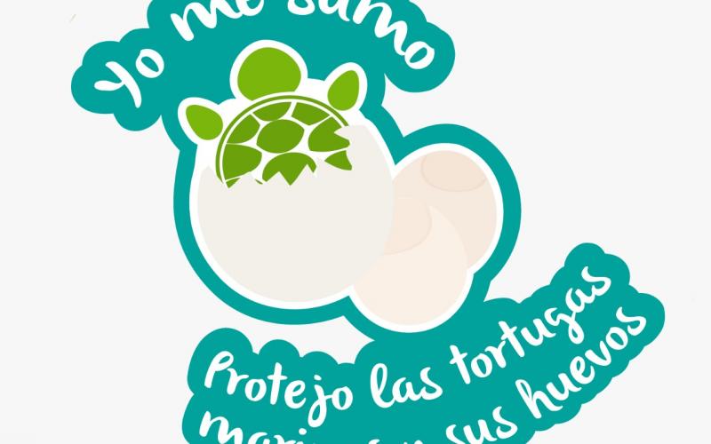 Debido a que todas las especies de tortugas marinas presentan patrones migratorios, son consideradas como un recurso compartido entre los países y sus mares territoriales.