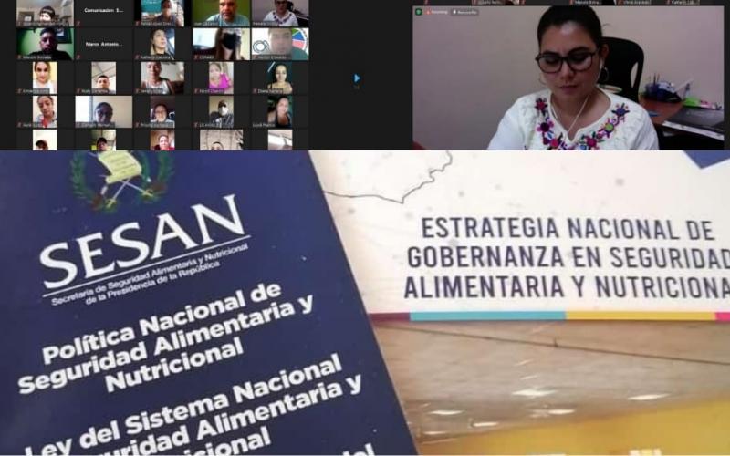 Secretaría de Seguridad Alimentaria y Nutricional 
