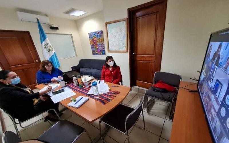 Conversatorio virtual sobre migración, desde el Minex