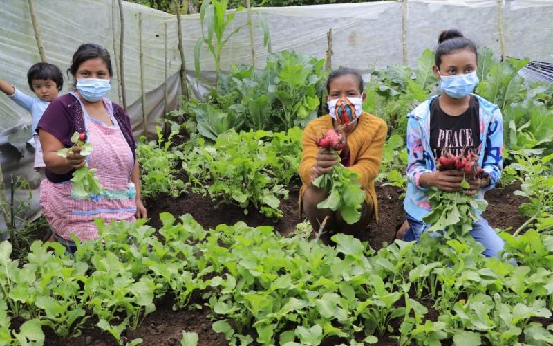Una nueva oportunidad para producir alimentos 