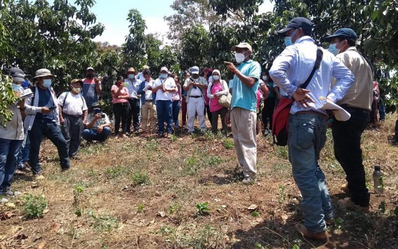 Beneficiarios participan en  intercambio de experiencias en Finca El Zunzal