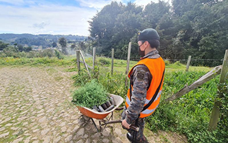 Brigada de Operaciones de Montaña apoyan jornada de reforestación