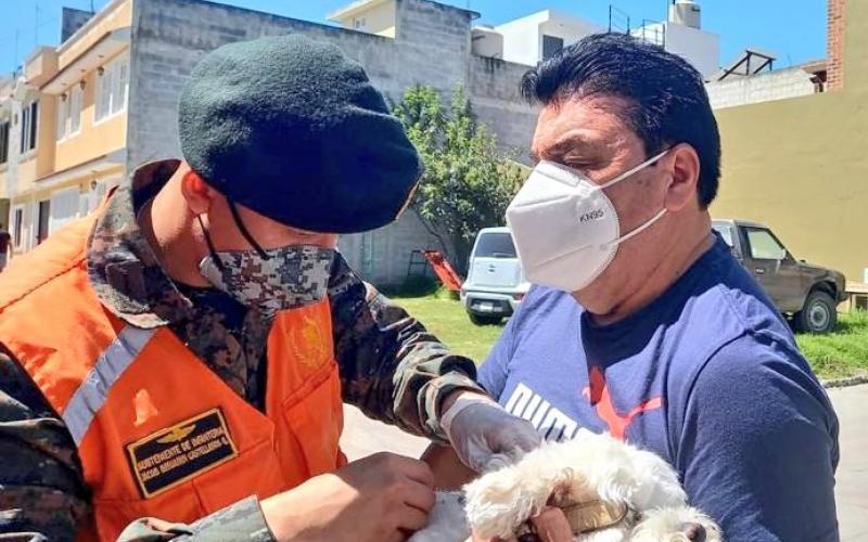 Jornada de vacunación canina y felina 
