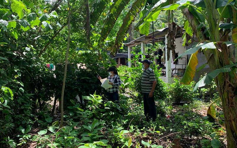Procesos de Adjudicación y Regularización en comunidades de Nueva Concepción