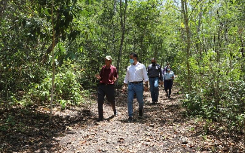 Mario Rojas Espino, Ministro de Ambiente y Recursos Naturales