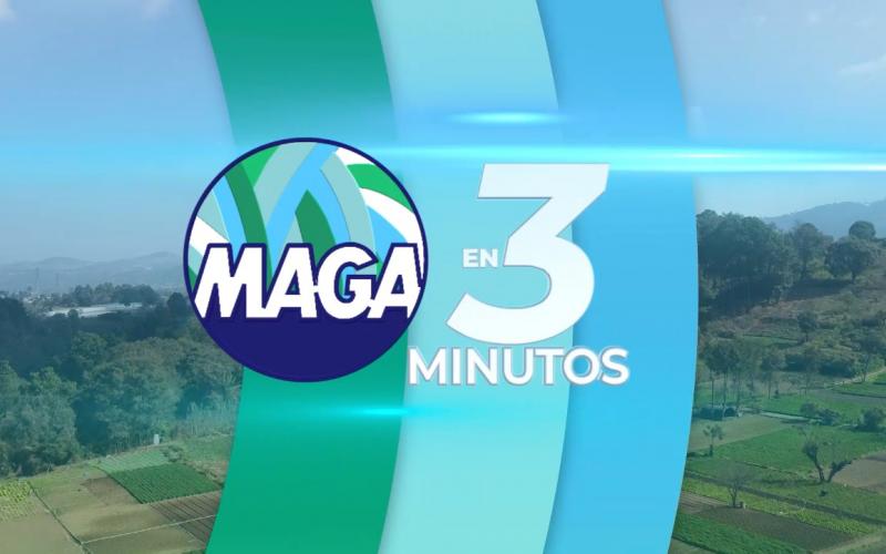 MAGA en tres minutos 