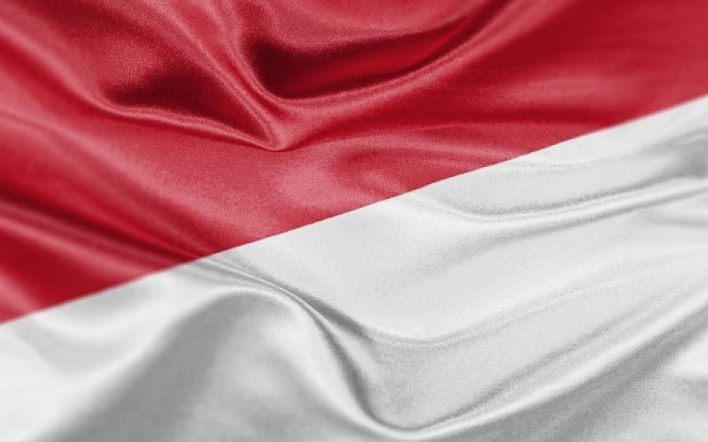 Bandera de Indonesia