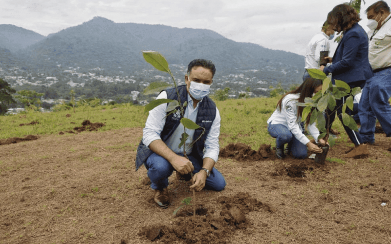 Programa de reforestación del MARN contribuye a la conservación ambiental