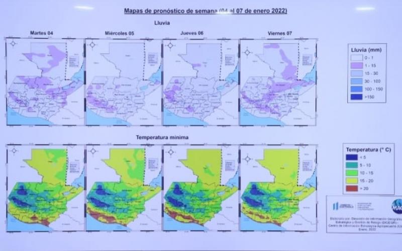No se reportan daños en cultivos por lluvias en Izabal 