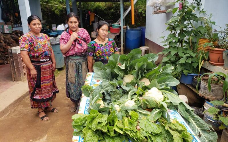 Secretaría de Seguridad Alimentaria y Nutricional 