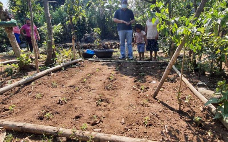 Secretaría de Seguridad Alimentaria y Nutricional 