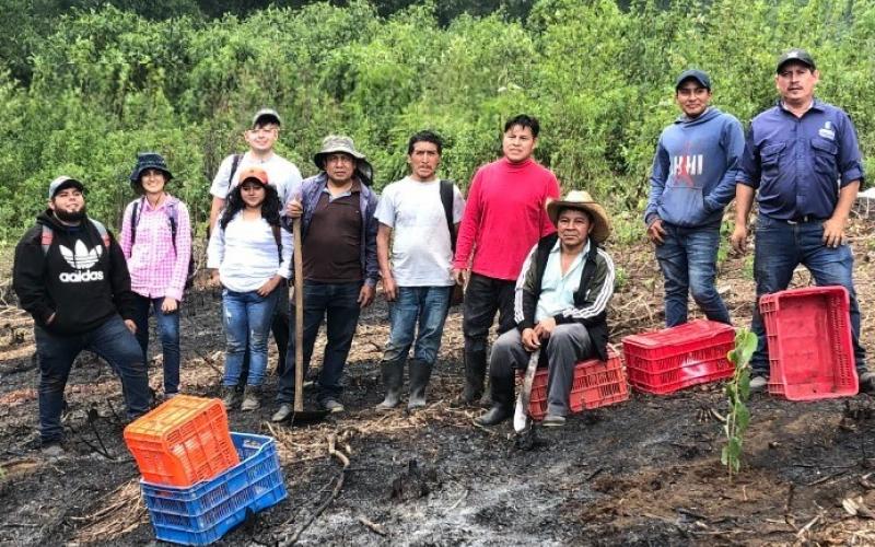 MARN comienza proyecto para plantar cinco mil árboles