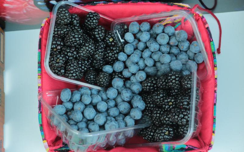 El MAGA impulsa la fruticultura guatemalteca