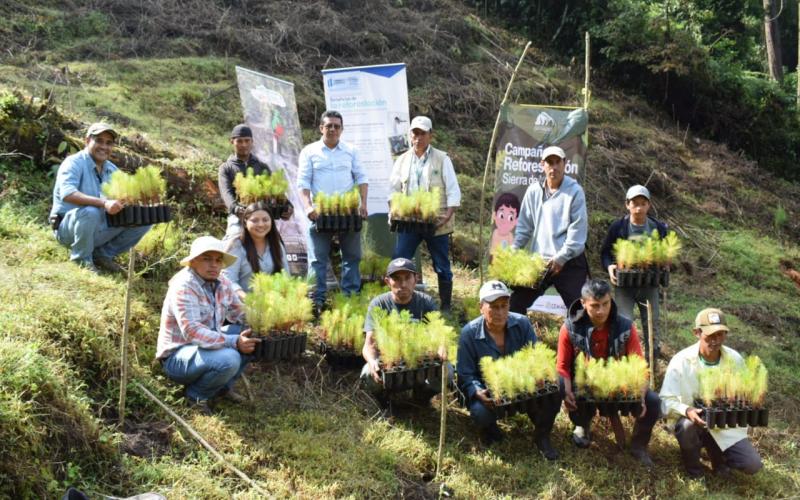 Impulsan reforestación y educación ambiental en Baja Verapaz