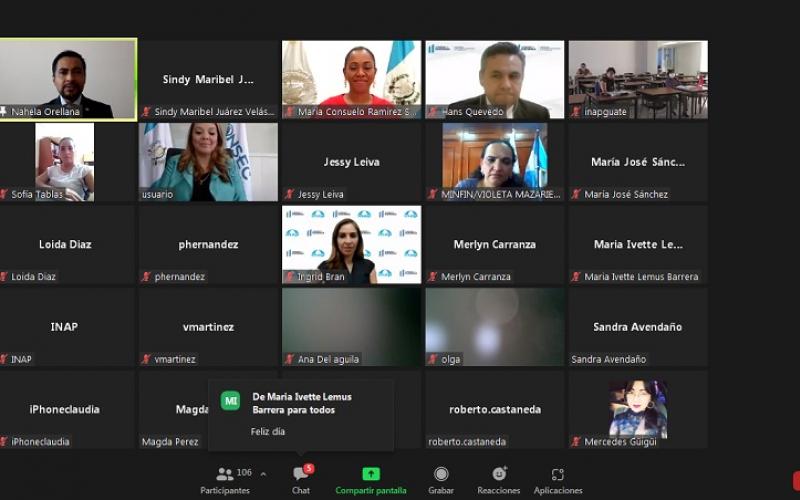 El panel fue virtual