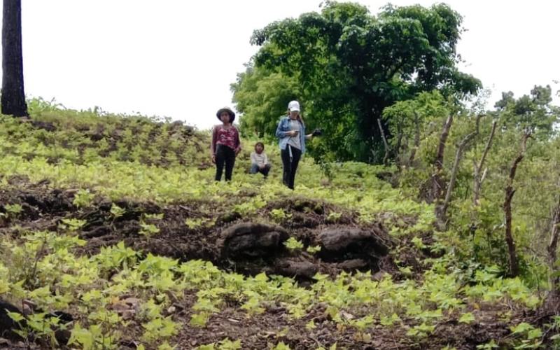 MARN, estudiantes y municipalidades plantan 800 árboles en Sanarate y Sansare