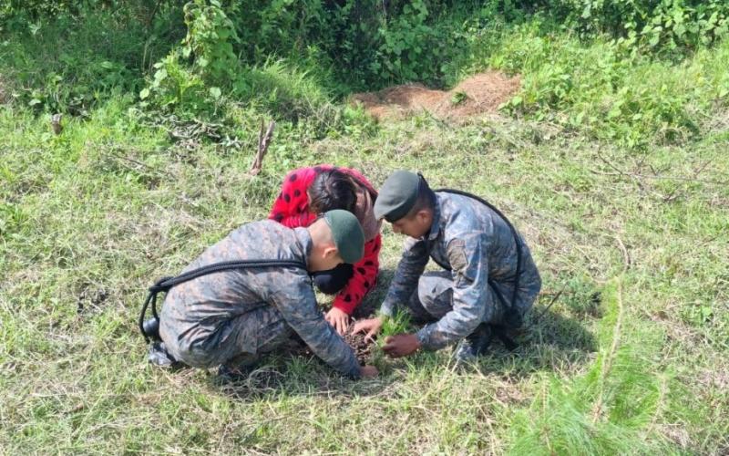 Ejército de Guatemala reforesta diversas regiones.
