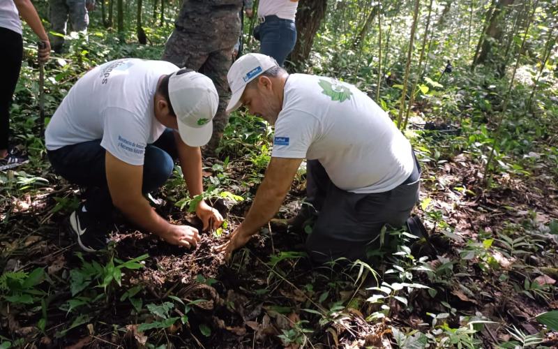 Reforestación en el Parque Municipal Ixtutz para conservar el bosque