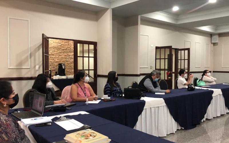 Reunión de comunicadores sobre Crecer Sano