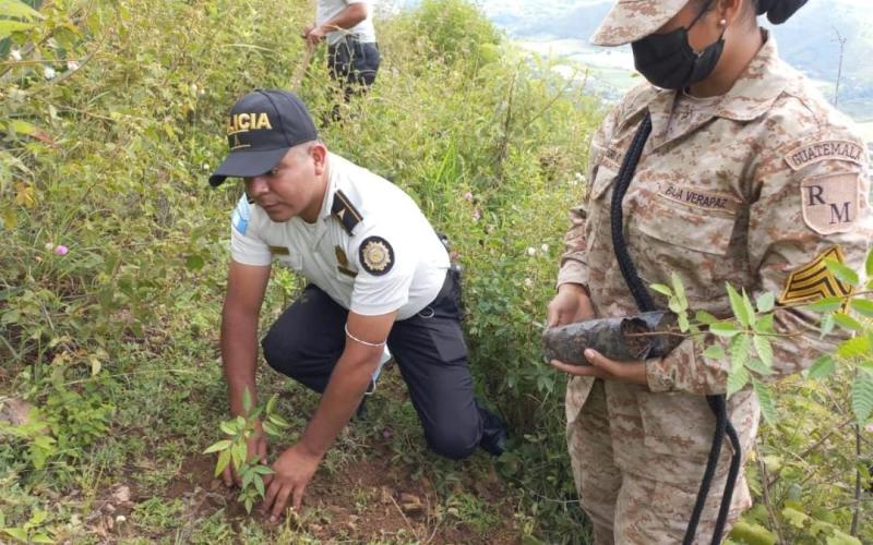 UPCV coordina siembra de árboles en Salamá Baja Verapaz