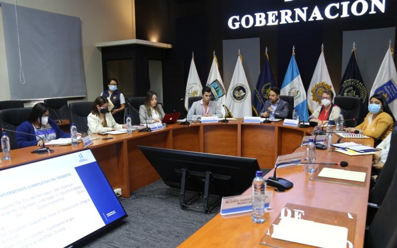 La Secretaria Presidencial de la Mujer Ana Leticia Aguilar Theissen