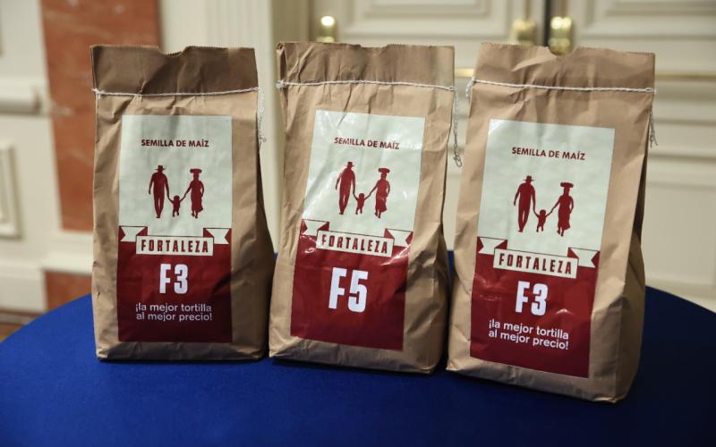 Presentan nuevo maíz biofortificado