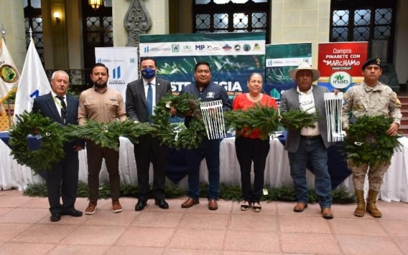 Autoridades priorizan la protección de bosques naturales de pinabete y tillandsias