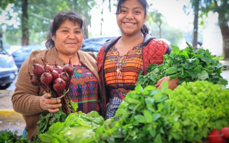 Secretaría de Seguridad Alimentaria y Nutricional 