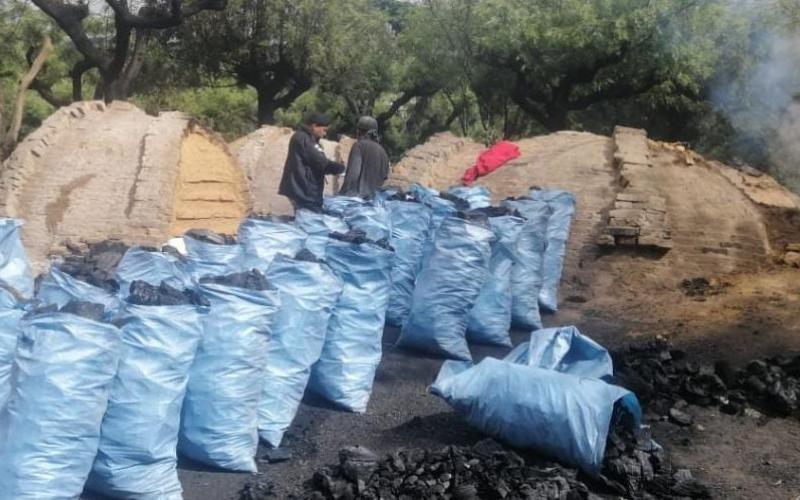 Diprona decomisa jade y producto forestal en distintos operativos