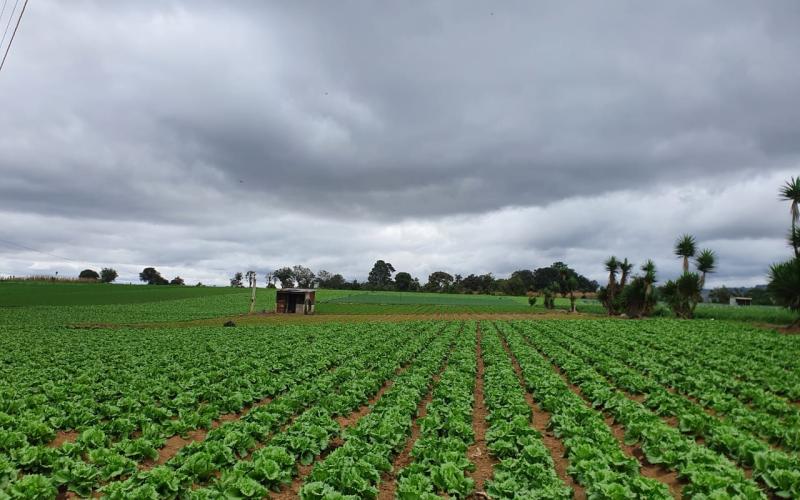 Fonagro incentiva un aumento en la productividad del área rural 