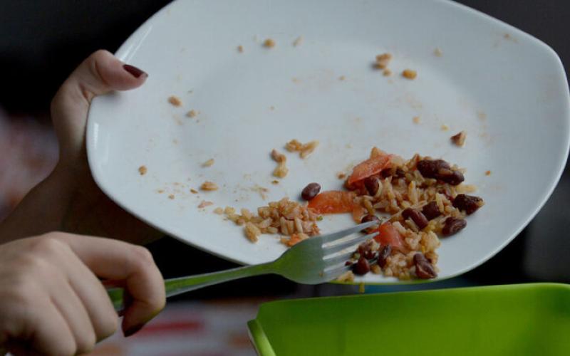 Desperdicio de alimentos