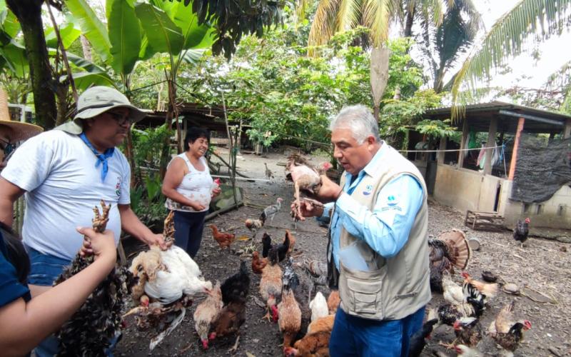 Guatemala se reporta libre de Influenza Aviar de Alta Patogenicidad