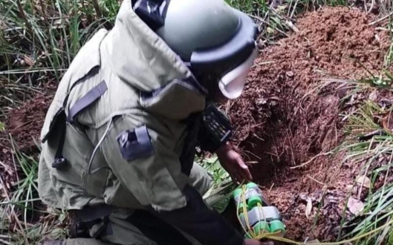 DIDAE decomisa armas, neutraliza explosivos y apoya en operativos 