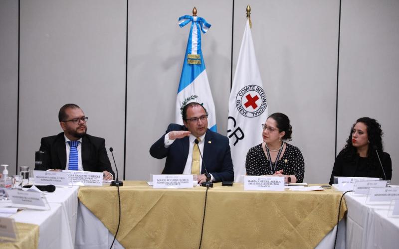 Minex preside sesión sobre derecho internacional humanitario 
