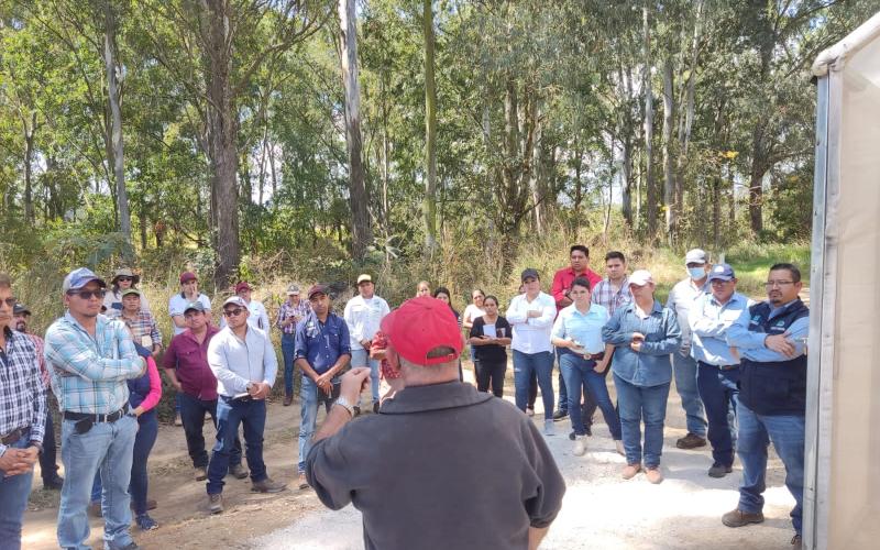 Continúan capacitaciones en temas agrícolas. 