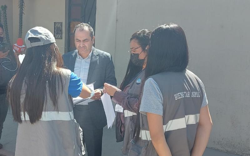 UBA sanciona al autor de la muerte de perros en Quetzaltenango