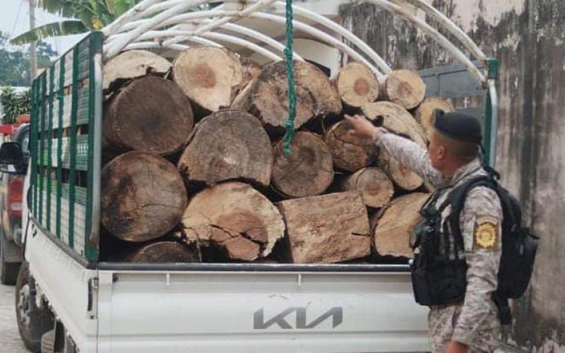 Diprona captura una persona por transportar ilícitamente producto forestal