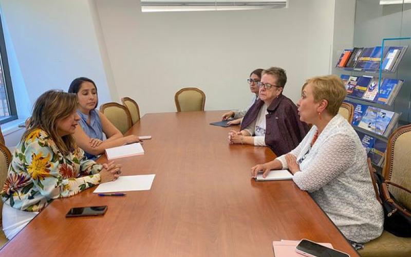 Reunión con la Comisión Interamericana de Mujeres para el Acompañamiento de la Creación del Protocolo Consular para Mujeres Migrantes Víctimas de Violencia